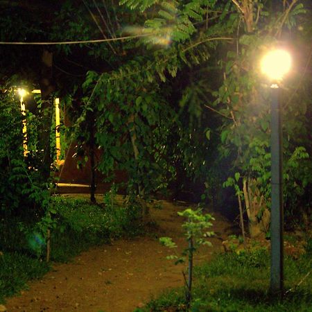 Pepper Hills Cottages エッラ エクステリア 写真