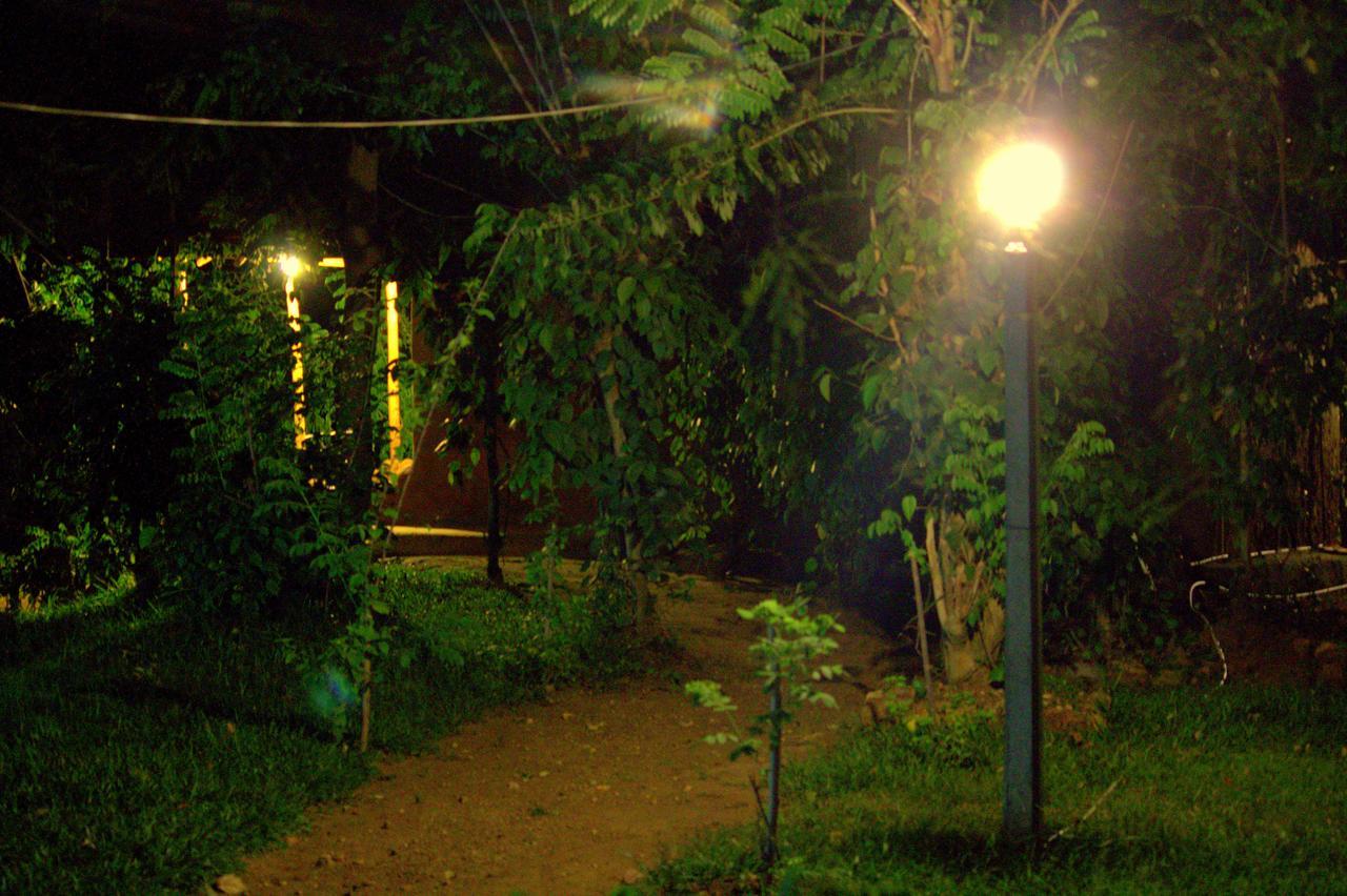 Pepper Hills Cottages エッラ エクステリア 写真