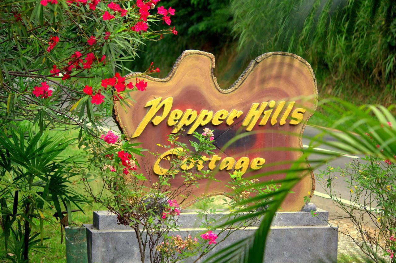 Pepper Hills Cottages エッラ エクステリア 写真